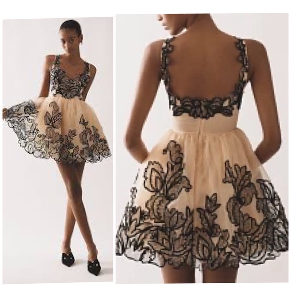 Anthropologie Dresses & Skirts - Anthropologie Maeve Sleeveless V-Neck Lace Fit And Flare Mini Dress Size 6 NWT